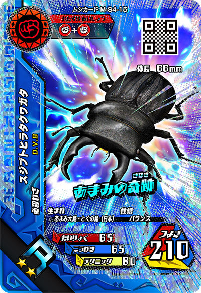 スジブトヒラタクワガタ（M-S4-15）［R］