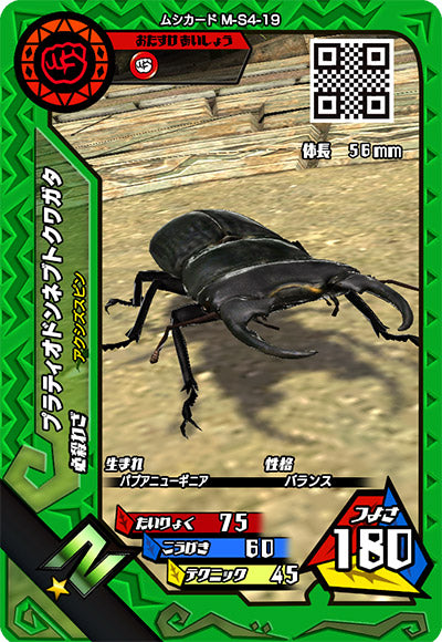 プラティオドンネブトクワガタ（M-S4-19）［N］