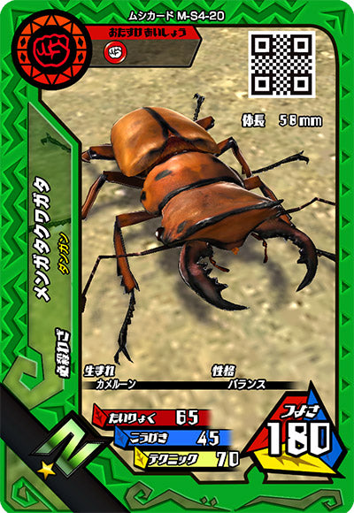 メンガタクワガタ（M-S4-20）［N］
