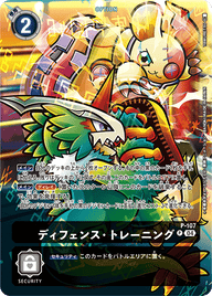 ディフェンス・トレーニング（P-107 / P-107_P2）［P］