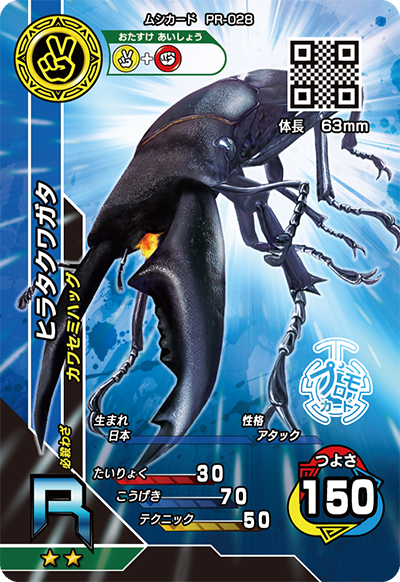 ヒラタクワガタ（PR-028）［R］