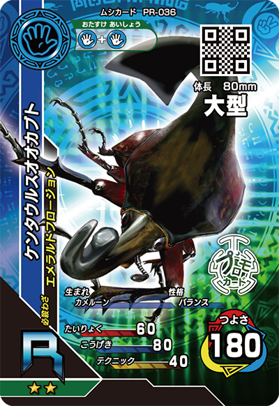 ケンタウルスオオカブト(大型)（PR-036）［R］