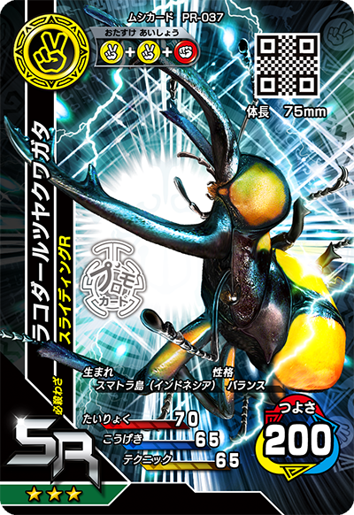 ラコダールツヤクワガタ（PR-037）［SR］