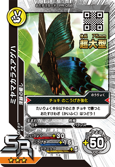 ミヤマカラスアゲハ(超大型)（PR-058）［SR］