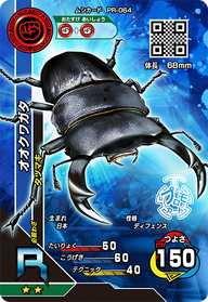 オオクワガタ（PR-064）［R］