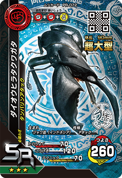 ダイオウヒラタクワガタ(超大型)（PR-072）［SR］