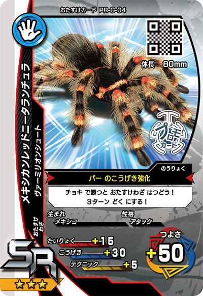 メキシカンレッドニータランチュラ（PR-G-04）［SR］