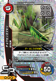 チョウセンカマキリ（PR-G-24）［SR］
