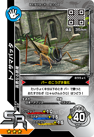 トノサマバッタ（S-1-03）［SR］