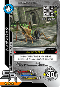 トノサマバッタ（S-1-03）［SR］