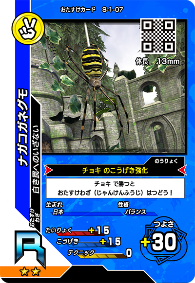 ナガコガネグモ（S-1-07）［R］