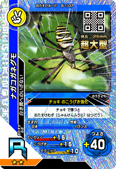 ナガコガネグモ（S-1-07）［R］