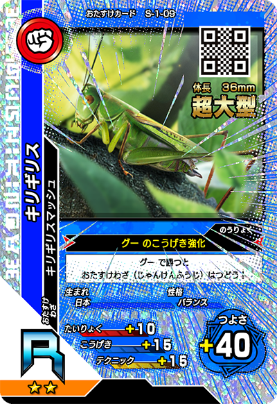キリギリス（S-1-09）［R］