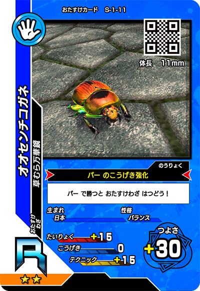 オオセンチコガネ（S-1-11）［R］