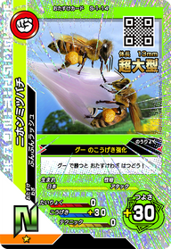 ニホンミツバチ（S-1-14）［N］
