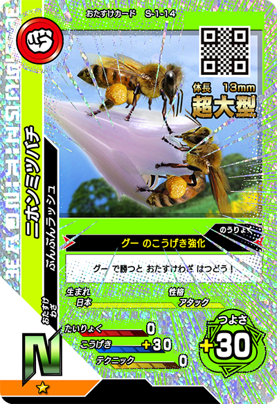 ニホンミツバチ（S-1-14）［N］