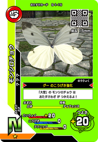 モンシロチョウ（S-1-15）［N］