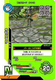 マメコガネ（S-1-16）［N］