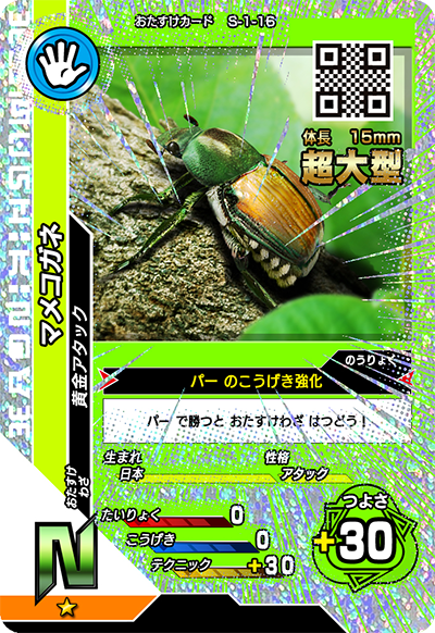 マメコガネ（S-1-16）［N］