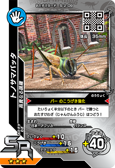 トノサマバッタ（S-2-09）［SR］