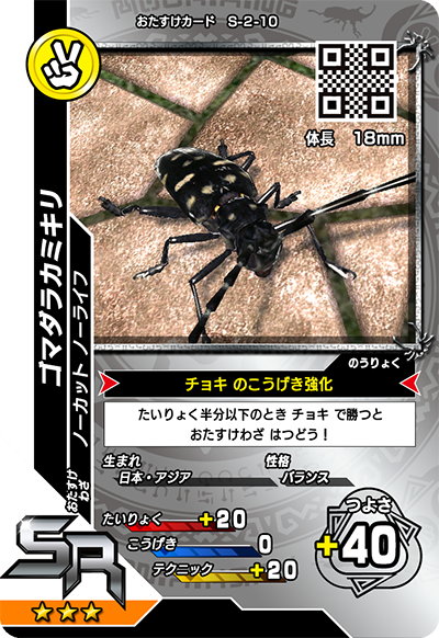 ゴマダラカミキリ（S-2-10）［SR］