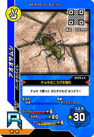 アオオサムシ（S-2-15）［R］