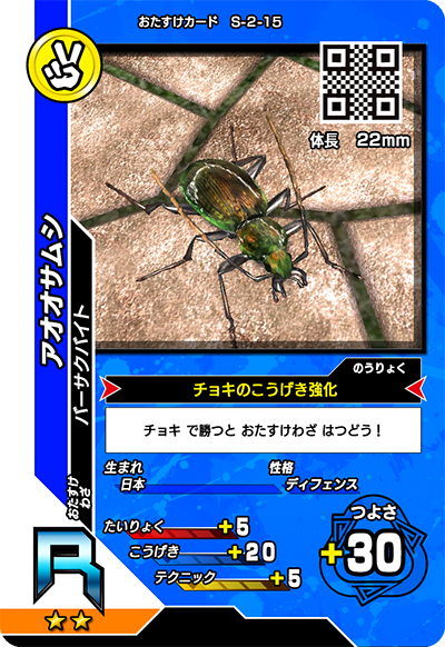 アオオサムシ（S-2-15）［R］