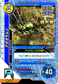 アオオサムシ（S-2-15）［R］