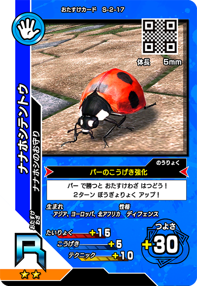ナナホシテントウ（S-2-17）［R］