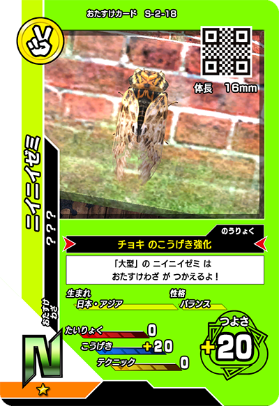 ニイニイゼミ（S-2-18）［N］