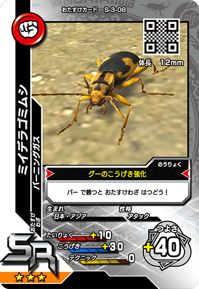 ミイデラゴミムシ（S-3-08）［SR］