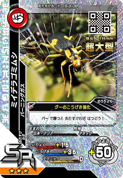 ミイデラゴミムシ（S-3-08）［SR］