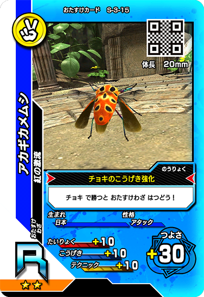 アカギカメムシ（S-3-15）［R］