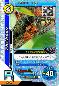 アカギカメムシ（S-3-15）［R］