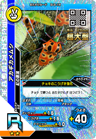 アカギカメムシ（S-3-15）［R］