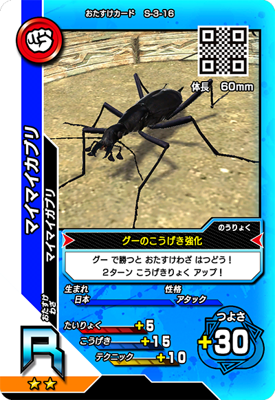 マイマイカブリ（S-3-16）［R］
