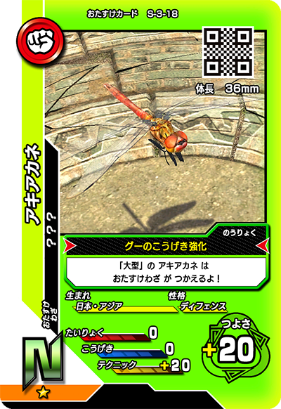 アキアカネ（S-3-18）［N］