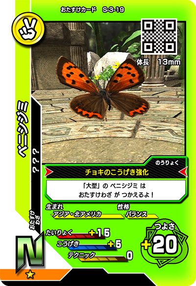 ベニシジミ（S-3-19）［N］