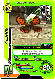 ベニシジミ（S-3-19）［N］