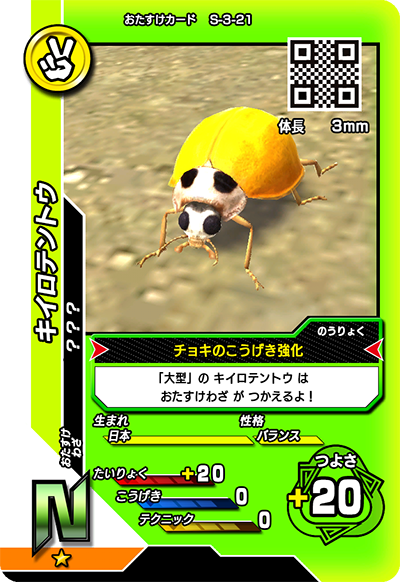 キイロテントウ（S-3-21）［N］