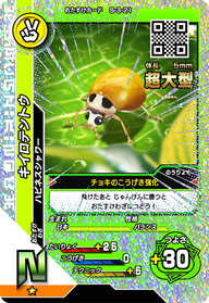 キイロテントウ（S-3-21）［N］