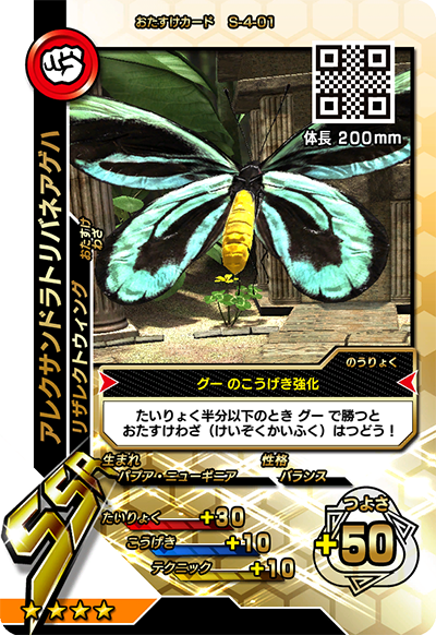 アレクサンドラトリバネアゲハ（S-4-01）［SSR］