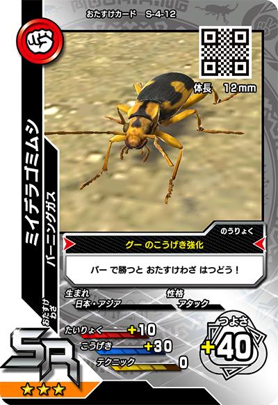 ミイデラゴミムシ（S-4-12）［SR］