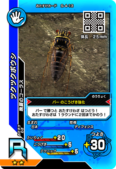 ツクツクボウシ（S-4-13）［R］
