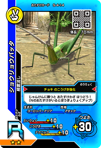 ショウリョウバッタ（S-4-14）［R］