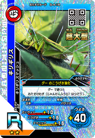 キリギリス（S-4-16）［R］