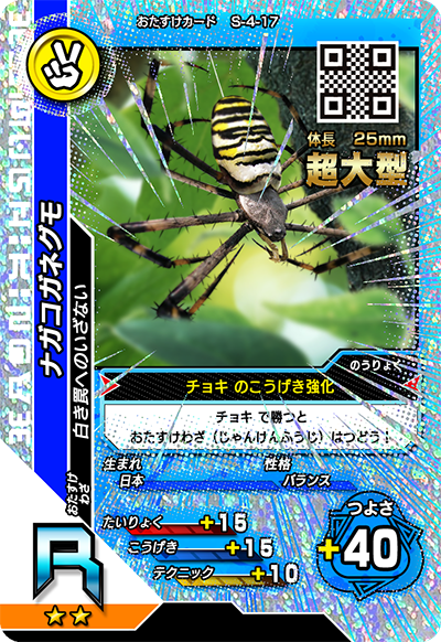 ナガコガネグモ（S-4-17）［R］