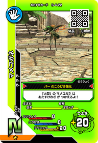 マメコガネ（S-4-22）［N］