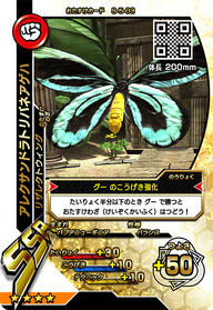 アレクサンドラトリバネアゲハ（S-5-03）［SSR］