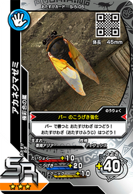 アカネクマゼミ（S-5-05）［SR］